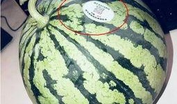 网红吃瓜的平台有哪些,盘点热门八卦聚集地