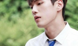 韩娱爆料金正贤视频下载,独家揭秘韩娱幕后花絮