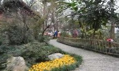 成都公园爆料视频大全集,探寻城市绿洲中的生活百态