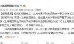 宋飞老师爆料视频大全集,揭秘娱乐圈幕后真相