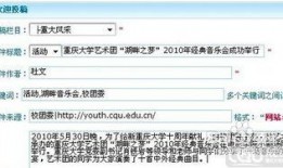 山东新闻爆料投稿流程,轻松参与，共建和谐舆论环境