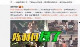 卓伟爆料过博君吗视频,博君事件背后真相