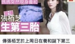 娱乐圈八卦爆料张柏芝是谁,娱乐圈八卦中的璀璨明星