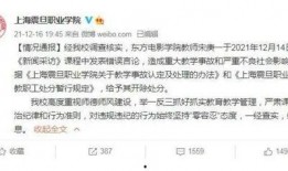 宋飞老师爆料视频大全集,揭秘娱乐圈幕后真相