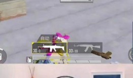 大白哥哥和平精英爆料最新,平精英全新内容大揭秘！