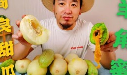 网红吃瓜什么梗,揭秘娱乐圈背后的秘密与八卦风云