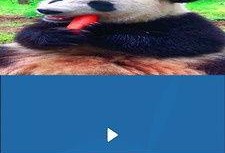 短视频剪辑爆料软件下载,下载爆料软件，轻松打造热门短视频！