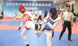 跆拳道在线观看,在线观看一网打尽