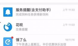 最新爆料营小程序叫什么,最新爆款小程序——“营”的神秘面纱