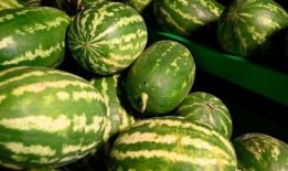 交城吃瓜事件网红,网红引发的网络狂欢与反思