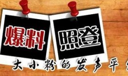 幽默新闻大爆料有哪些,笑翻你的周末时光