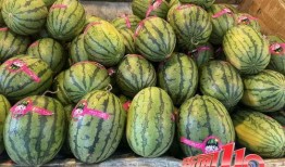 潮汕大瓜爆料视频下载,独家爆料背后的惊人真相