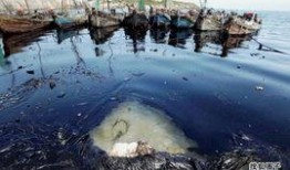 大连泉溪爆料事件最新,真相与争议交织的舆论漩涡