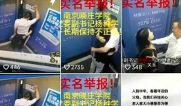 知名老板被老婆爆料视频,一场婚姻的真相大揭秘
