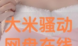 骚动在线观看,揭秘网络世界的激情与冲突