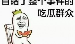 搞笑吃瓜番茄小说免费阅读,笑料百出，瓜田里的欢乐盛宴