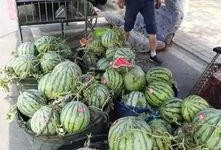 交城吃瓜事件网红,网红引发的网络狂欢与反思