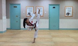 跆拳道在线观看,在线观看一网打尽