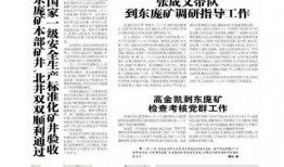 团委书记爆料新闻稿件,揭秘新闻背后的故事与真相”