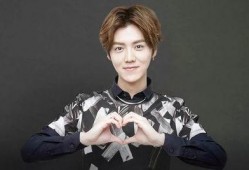 明星爆料鹿晗徐凯视频,揭秘幕后故事与精彩瞬间