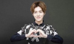 明星爆料鹿晗徐凯视频,揭秘幕后故事与精彩瞬间