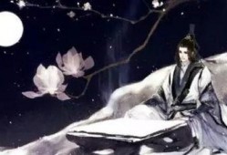 古风手提灯网友爆料视频,网友爆料视频中的古典韵味与匠心独运