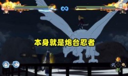 迪达拉忍者爆料视频,独家内幕大公开