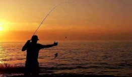 娱乐吃瓜钓鱼视频下载安装,娱乐吃瓜钓鱼视频，轻松安装体验新乐趣