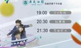 广东公共频道在线观看,在线观看，尽享精彩瞬间