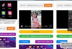 爆料视频无水印,无水印背后的真相与内幕