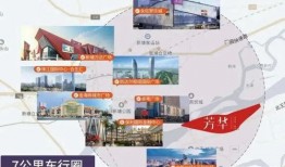 樱花更新大爆料真的吗视频,揭秘全新视频背后的秘密与亮点