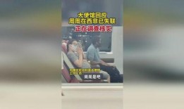 网红网友爆料视频下载安装,轻松获取热门内容