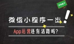 最新爆料营小程序叫什么,最新爆款小程序——“营”的神秘面纱