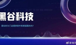 黑谷科技真实爆料视频网