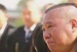 陇南市网红吃瓜事件始末,一场网络狂欢背后的真相与反思