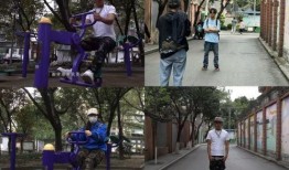 成都公园爆料视频大全集,探寻城市绿洲中的生活百态