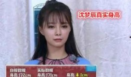 沈梦辰爆料明星视频大全