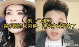 娱乐圈爆料真实案例,真实案例背后的惊人内幕