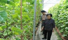 网红驯鹿吃瓜是真的吗视频,真相揭秘