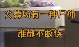 火葬场内部爆料视频,揭秘生死轮回的最后一站