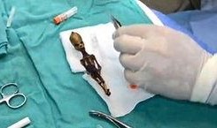 迷你外星人爆料视频