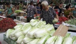 河南卖菜网红吃博洋瓜,美味瞬间引爆味蕾