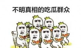 免费版吃瓜群众,揭秘网络舆论场的众生相