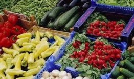 河南卖菜网红吃博洋瓜,美味瞬间引爆味蕾