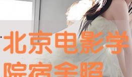 写真在线观看免费,尽在视觉盛宴之旅