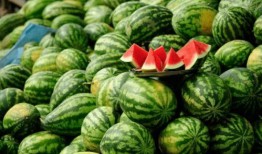 太阳女神网红吃瓜,揭秘娱乐圈幕后真相