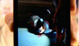 写真花絮网友爆料视频大全,网友爆料视频全集精彩呈现