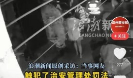 深夜视频爆料大全,大全背后的真相与秘密