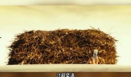 动物性本能1在线观看