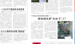 团委书记爆料新闻稿件,揭秘新闻背后的故事与真相”